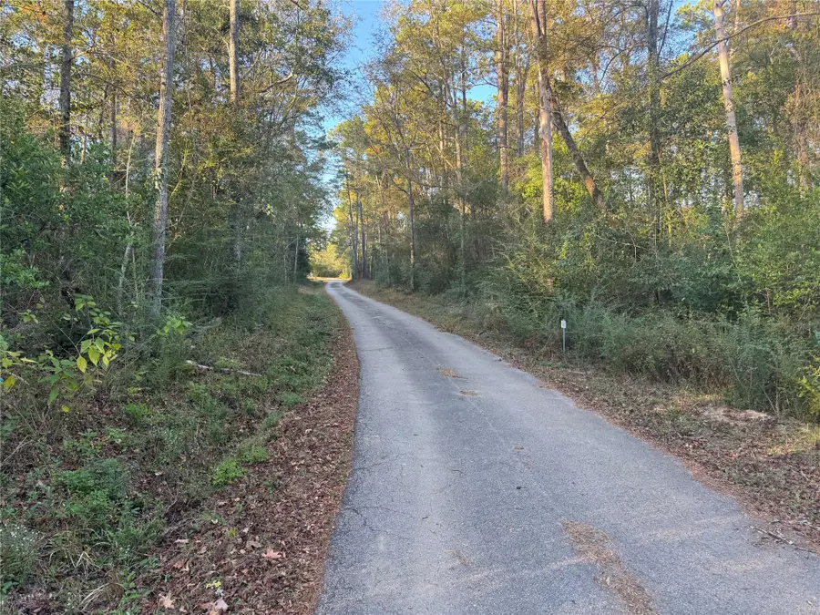 TBD Eastwood Avenue, Coldspring, TX 77331 - #3