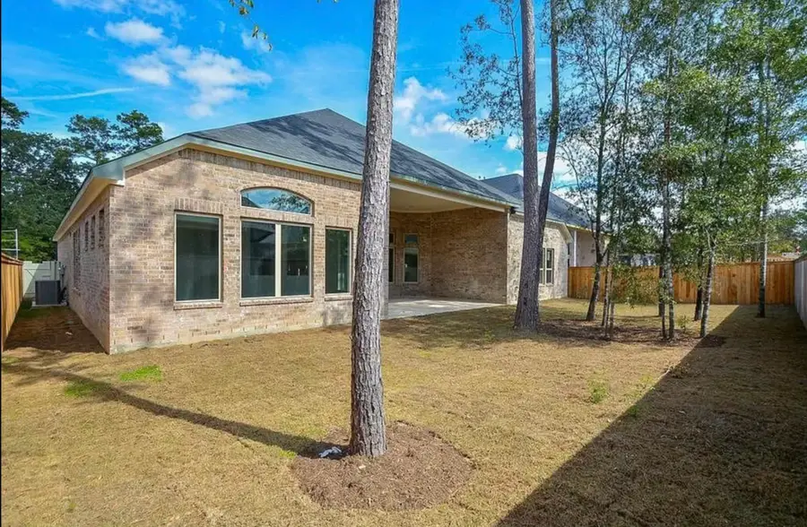10407 Roseate Skimmer, Conroe, TX 77385 - Image #2