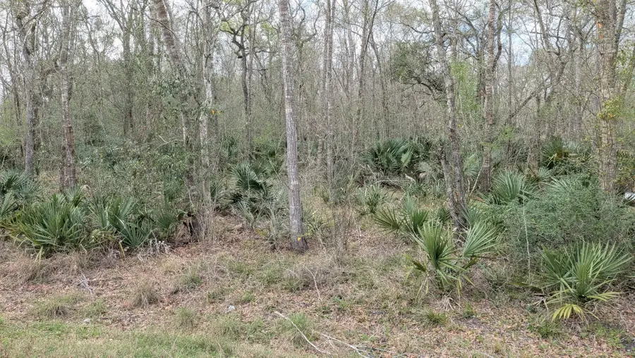 19910 County Road 684a, Sweeny, TX 77480 - #3