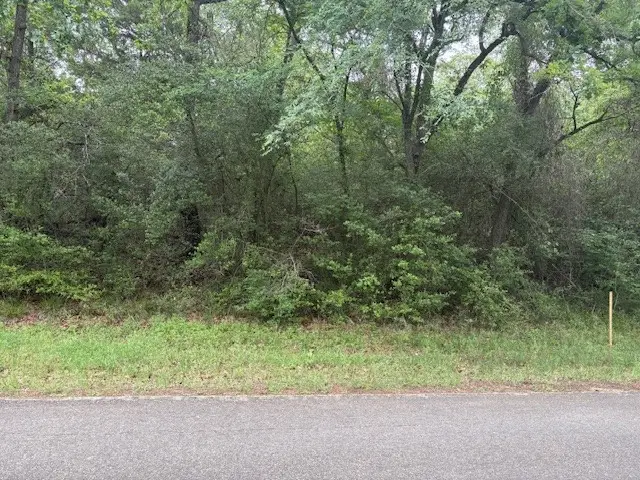 TBD Post Oak Drive, Normangee, TX 77871 - #2