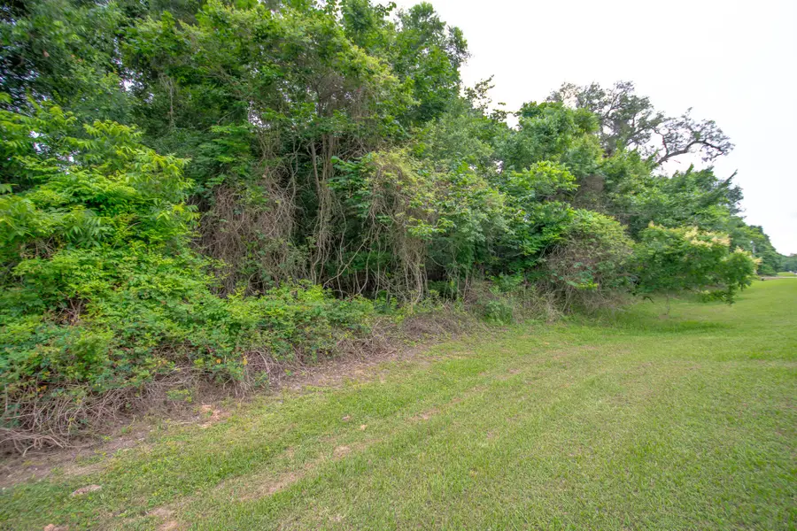1015 W Point Drive, Rosharon, TX 77583 - #3