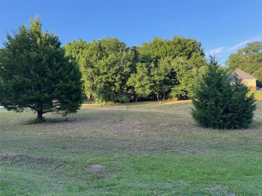 0 Circle View Drive, Montgomery, TX 77316 - Image #3