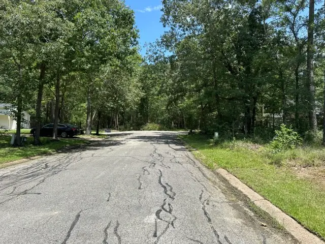 28617 Rantoul Court, Huntsville, TX 77320 - #2