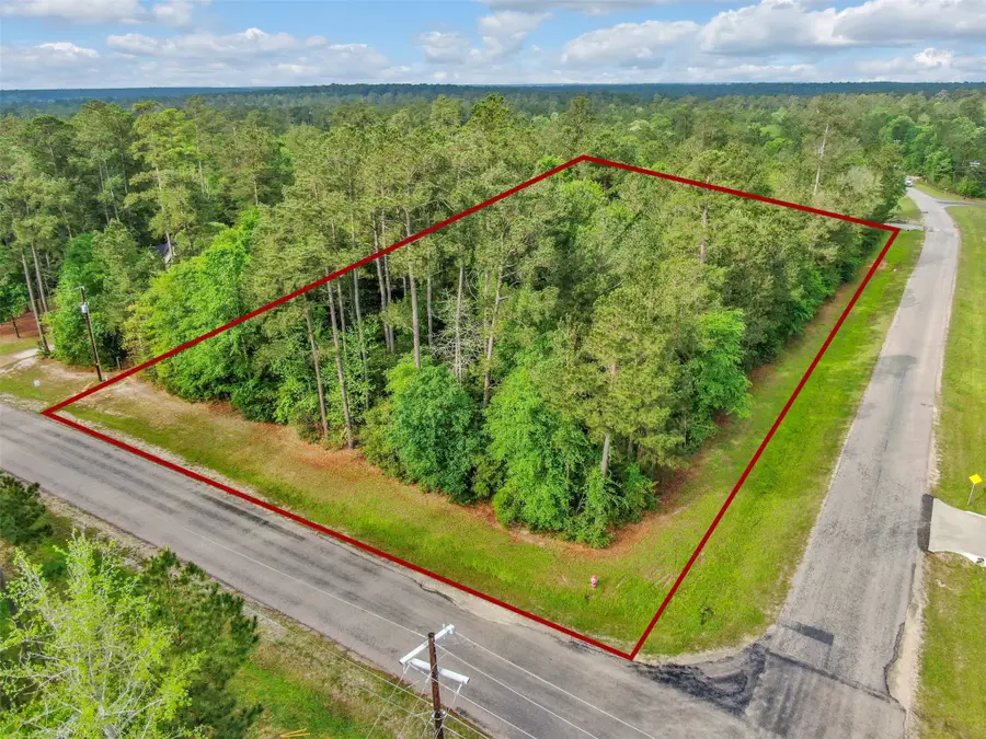 Lot 23 Grand View, Huntsville, TX 77340 - #2