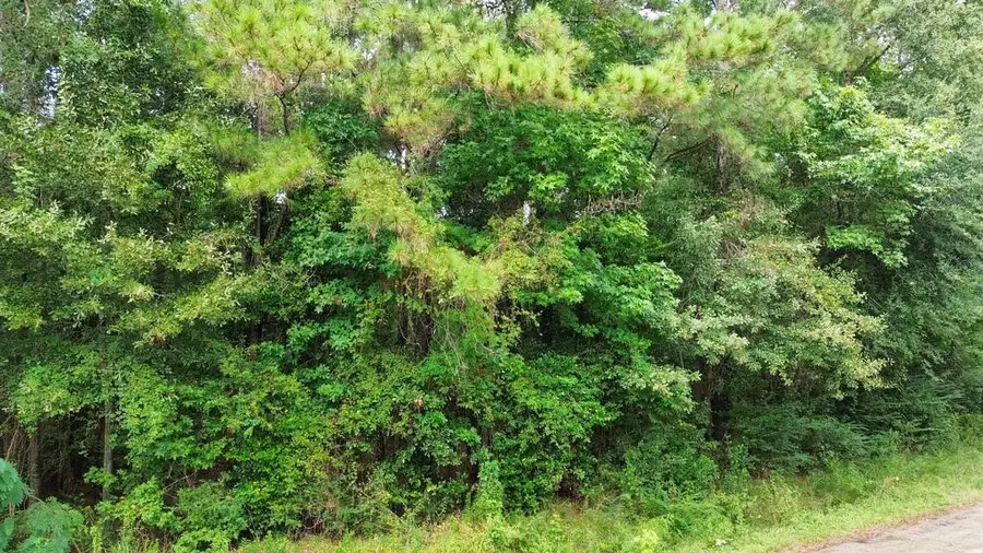 .66 Cr 451, Kirbyville, TX 75956 - #3