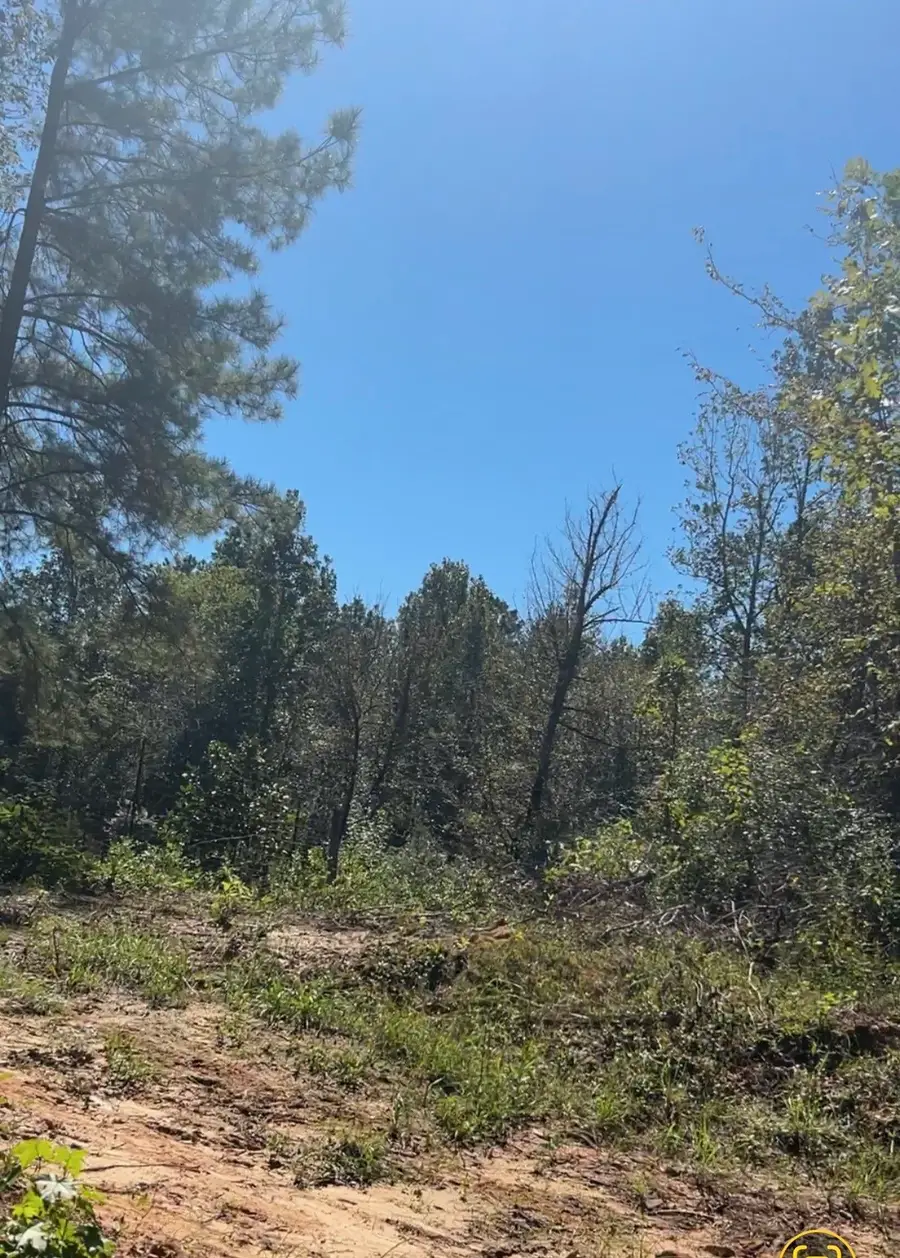 0 Brantly Drive, Livingston, TX 77351 - #2