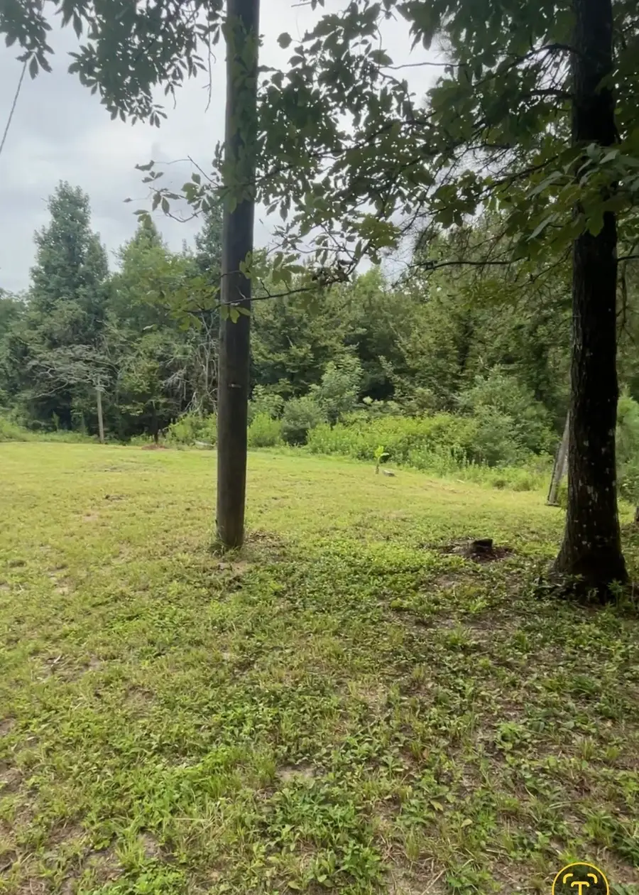 0 Brantly Drive, Livingston, TX 77351 - #3