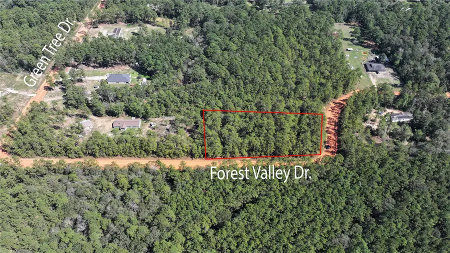 0 Forest Valley Dr, Cleveland, TX 77328 - #2