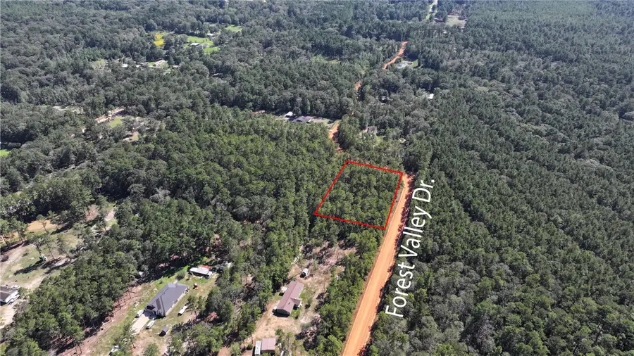0 Forest Valley Dr, Cleveland, TX 77328 - #3