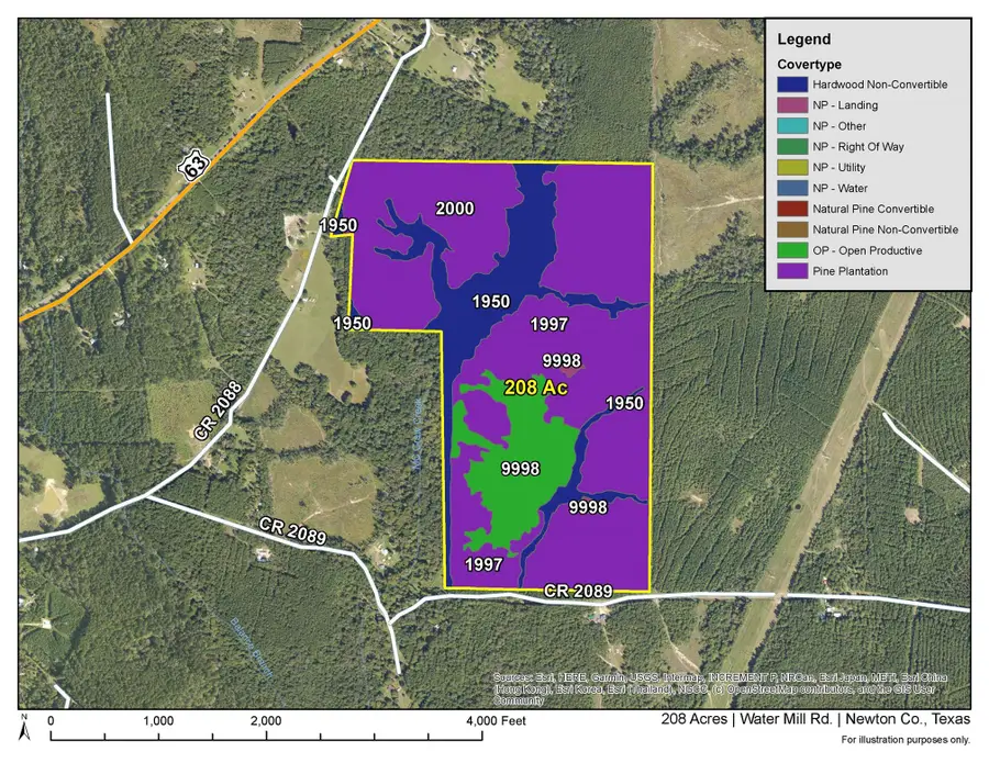 1 County Road 2088, Burkeville, TX 75932 - #3