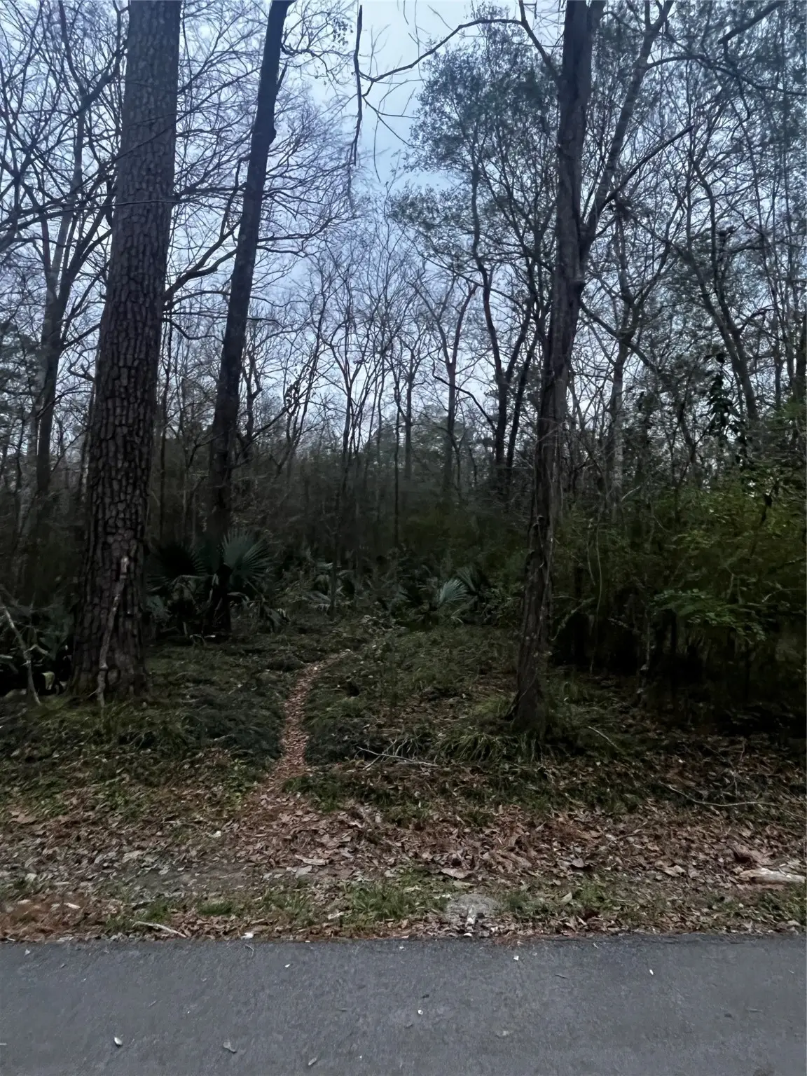 0 Elm Street, Huffman, TX 77336 - #1