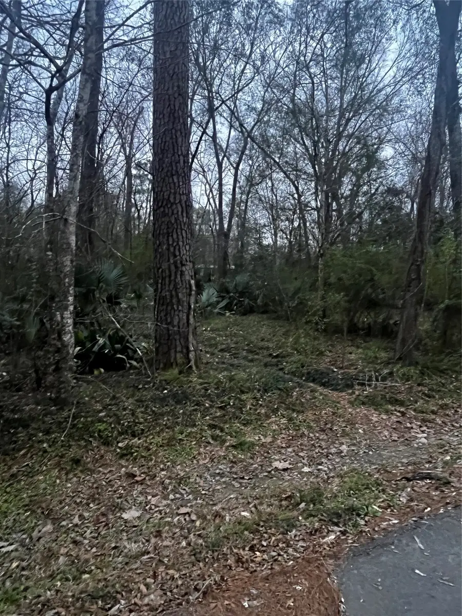 0 Elm Street, Huffman, TX 77336 - #3