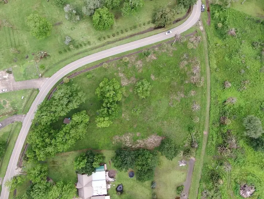 Lot 220 County Road 461 A, Brazoria, TX 77422 - #3