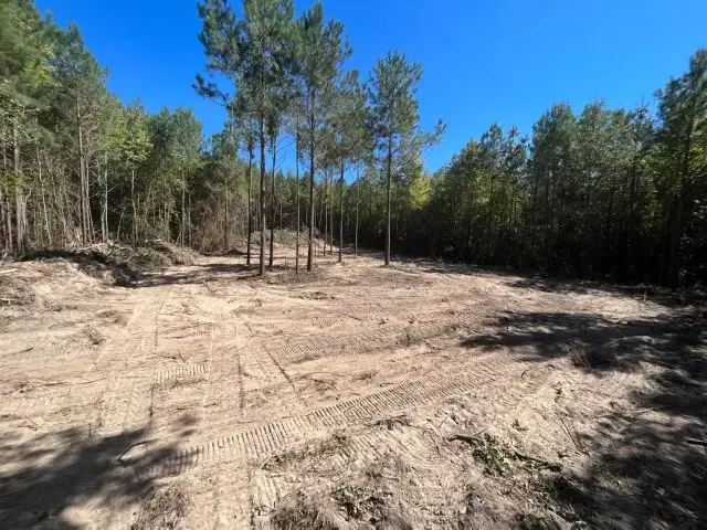 TRACT 5-C Fm 161 N, Hughes Springs, TX 75656 - #1