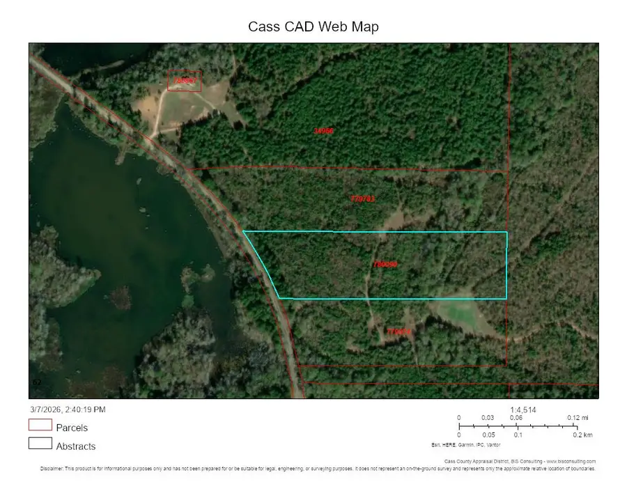 TRACT 5-C Fm 161 N, Hughes Springs, TX 75656 - #3