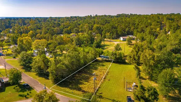 1518 Yaupon Cove Drive, Onalaska, TX 77360