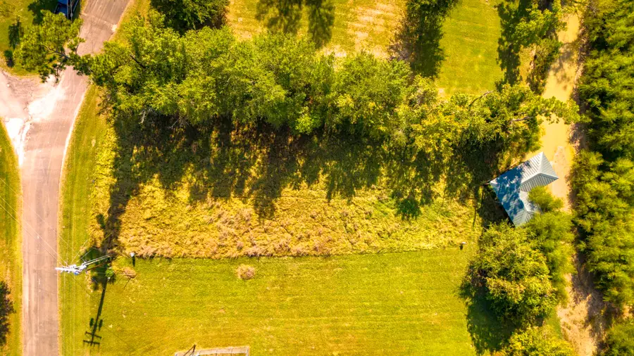 1518 Yaupon Cove Drive, Onalaska, TX 77360 - Image #3