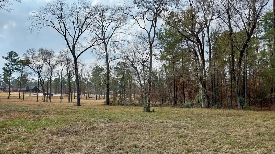 2 Noah Court, Huntsville, TX 77320 - #2