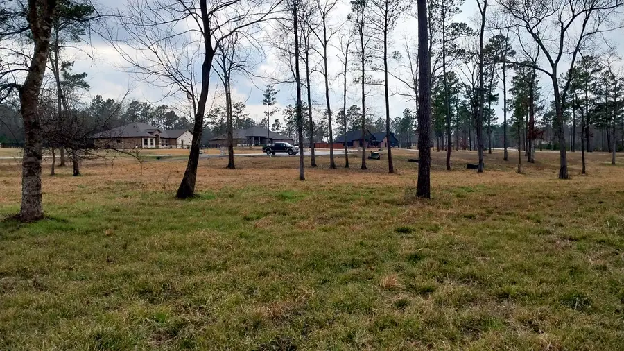 2 Noah Court, Huntsville, TX 77320 - #3