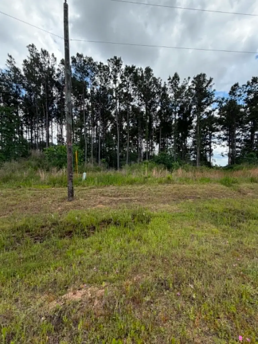 1178 Road 5913, Cleveland, TX 77327 - #3