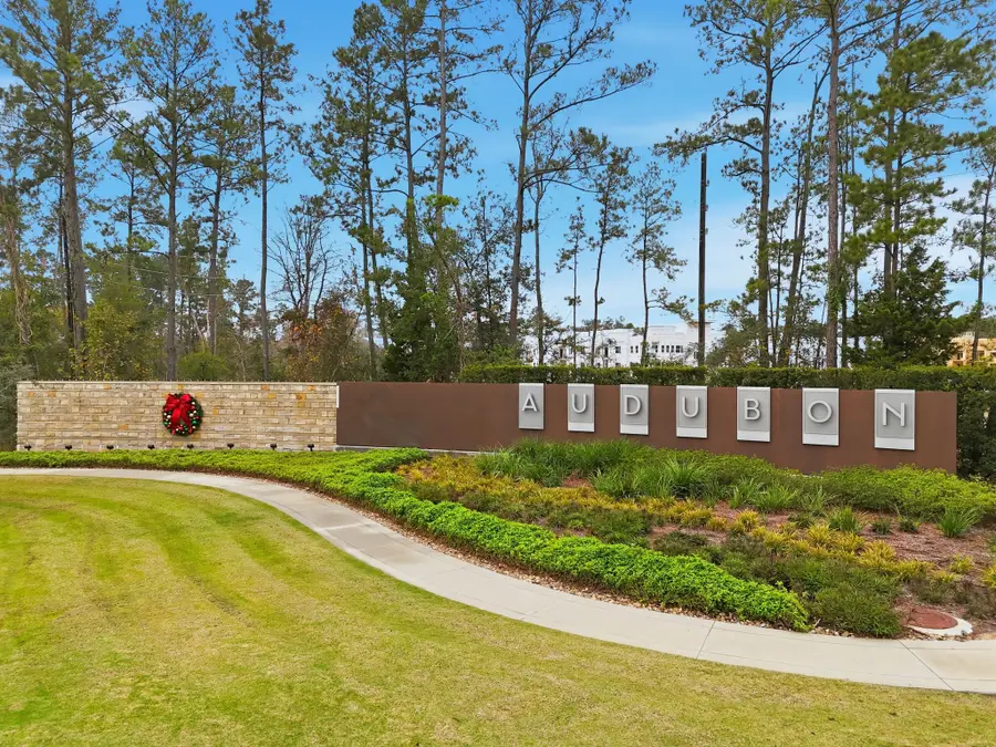 15013 Baikal Teal Terrace, Magnolia, TX 77354 - #3