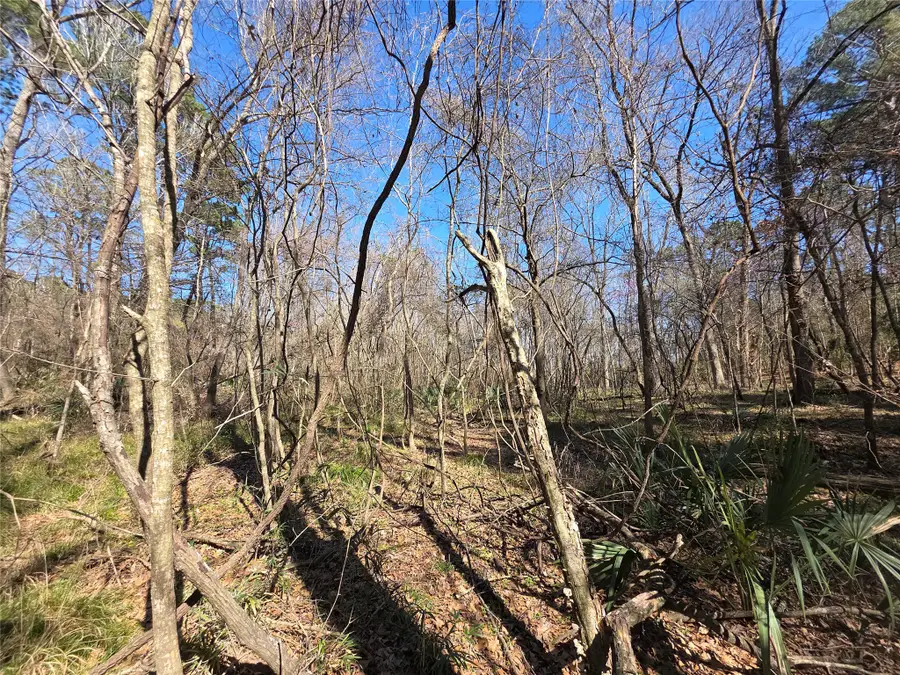 TBD Fm 156, Coldspring, TX 77331 - #3