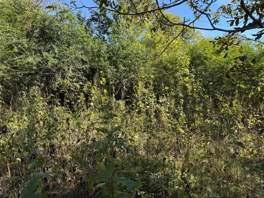 TBD Sycamore Street, Crockett, TX 75835 - #3