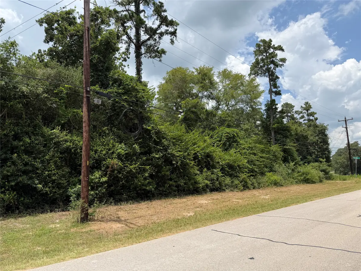19895 Martha Road, Montgomery, TX 77316 - #1