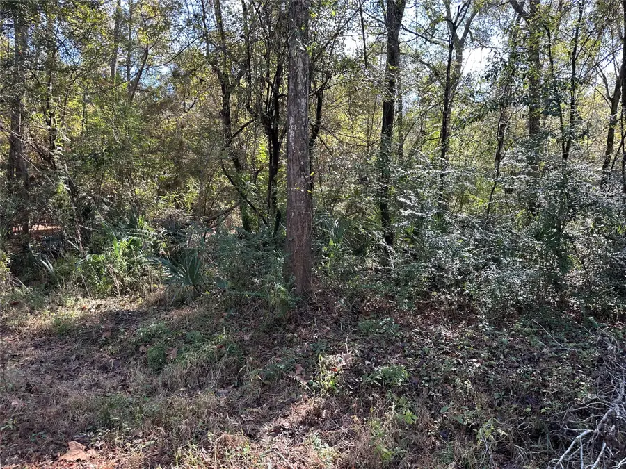 0 County Road 3612, Cleveland, TX 77372 - Image #3