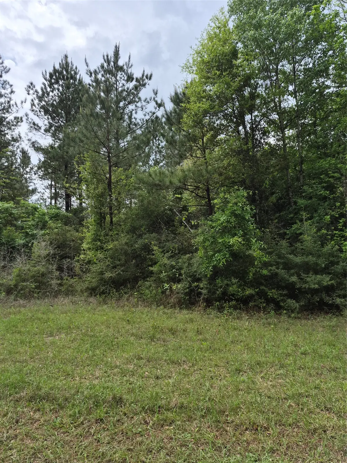 0001 Tbd Sh 146/e Schwab Road, Livingston, TX 77351 - #1