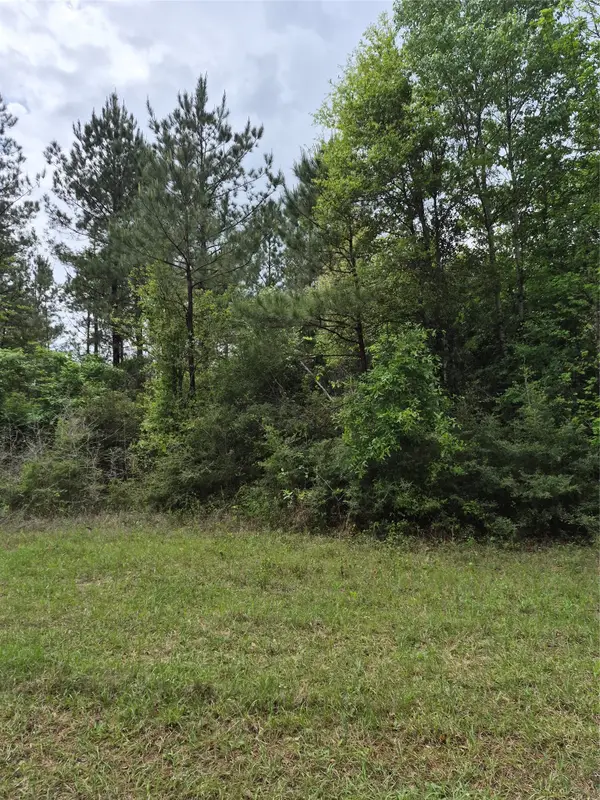 0001 Tbd Sh 146/e Schwab Road, Livingston, TX 77351