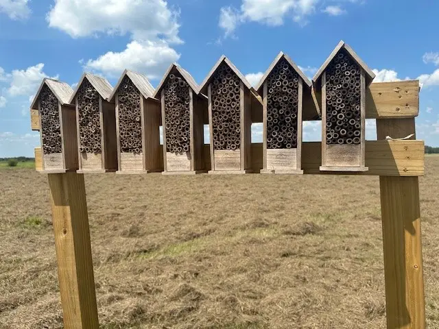 Block 02,Lot 231 Teal Lane, Columbus, TX 77470 - #3