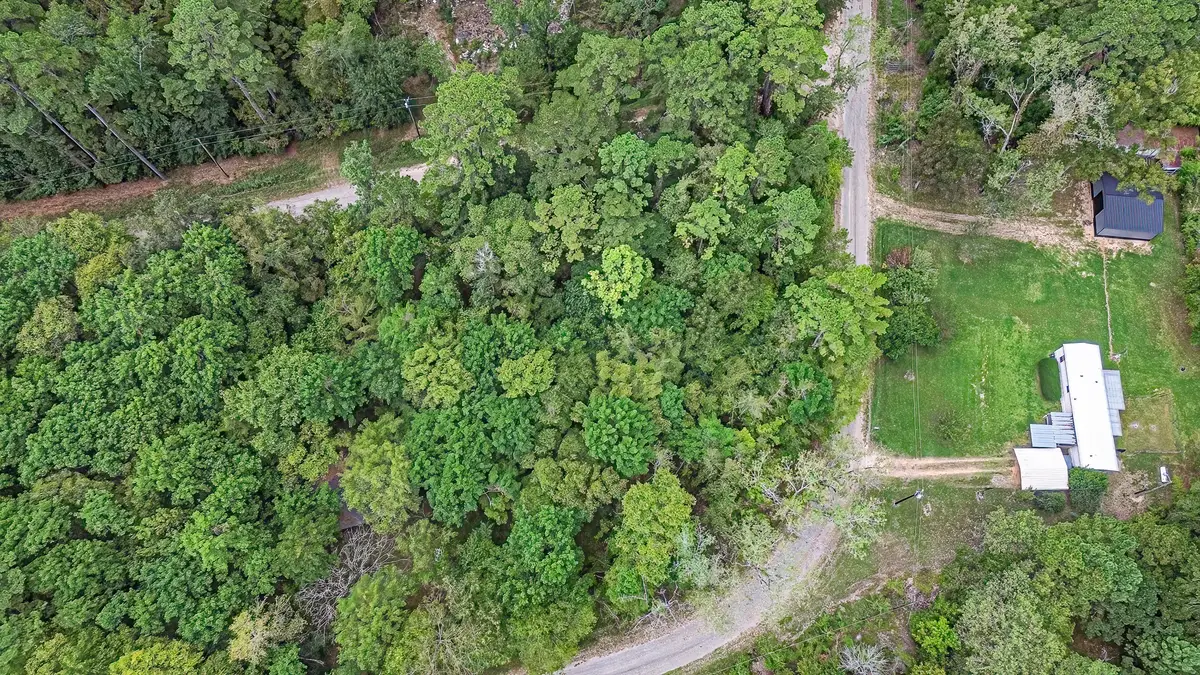Lot 74 The Woods Road, Coldspring, TX 77331 - #1