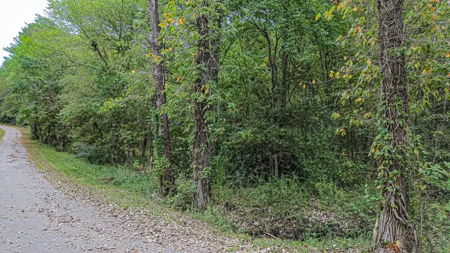 Lot 74 The Woods Road, Coldspring, TX 77331 - #3