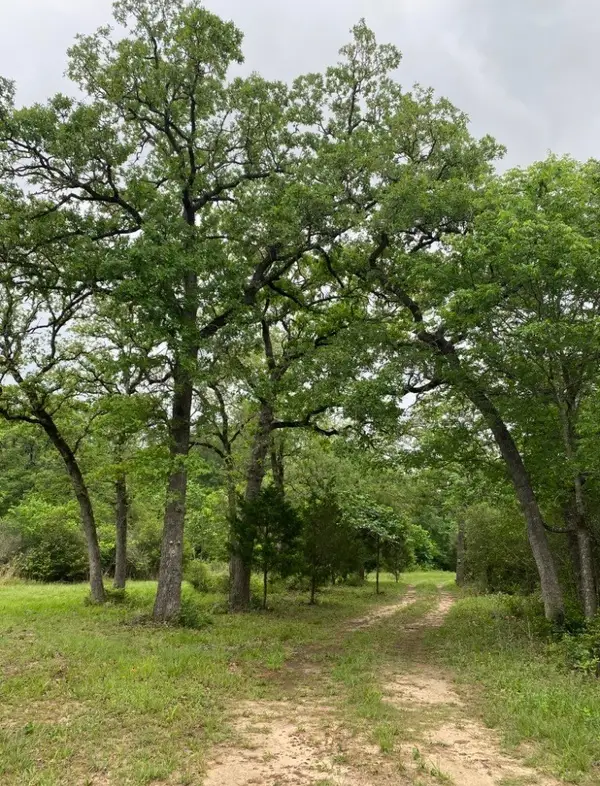 1803 Doe Run Drive, Waelder, TX 78959