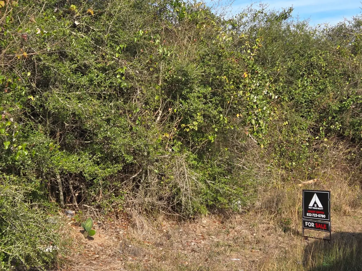 0 Bremond, Hempstead, TX 77445 - Image #1