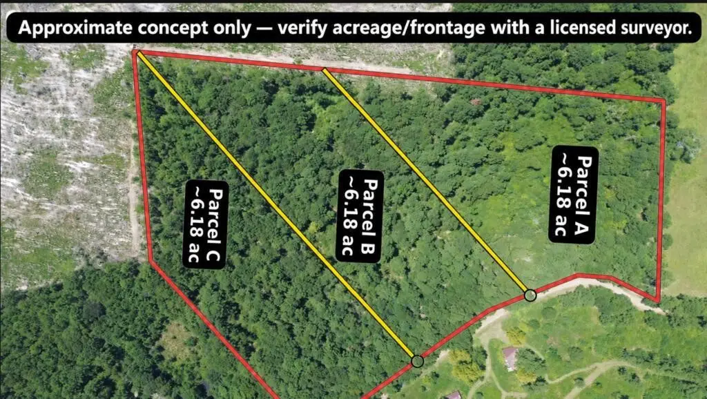 6.18AC County Road 3103, Call, TX 75933 - #1