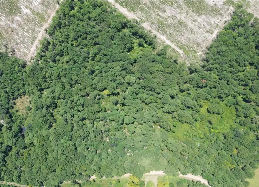 6.18AC County Road 3103, Call, TX 75933 - #2