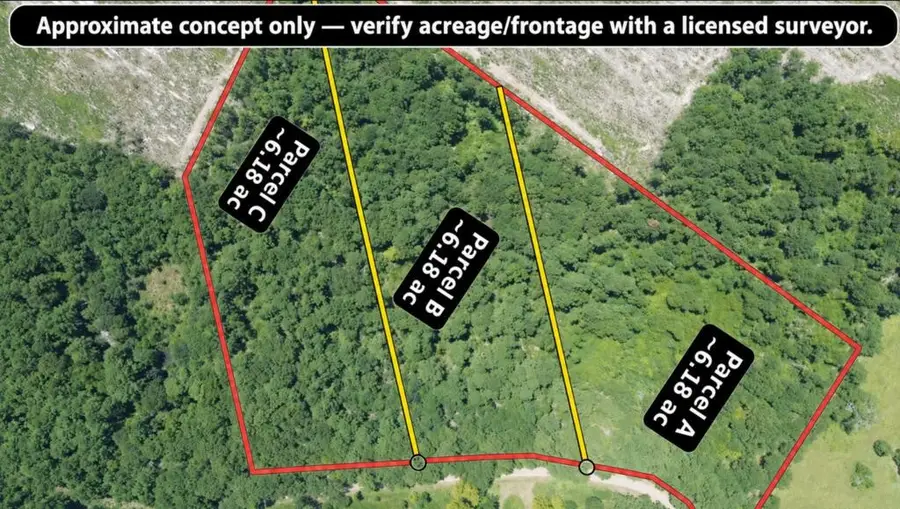 6.18AC County Road 3103, Call, TX 75933 - #3