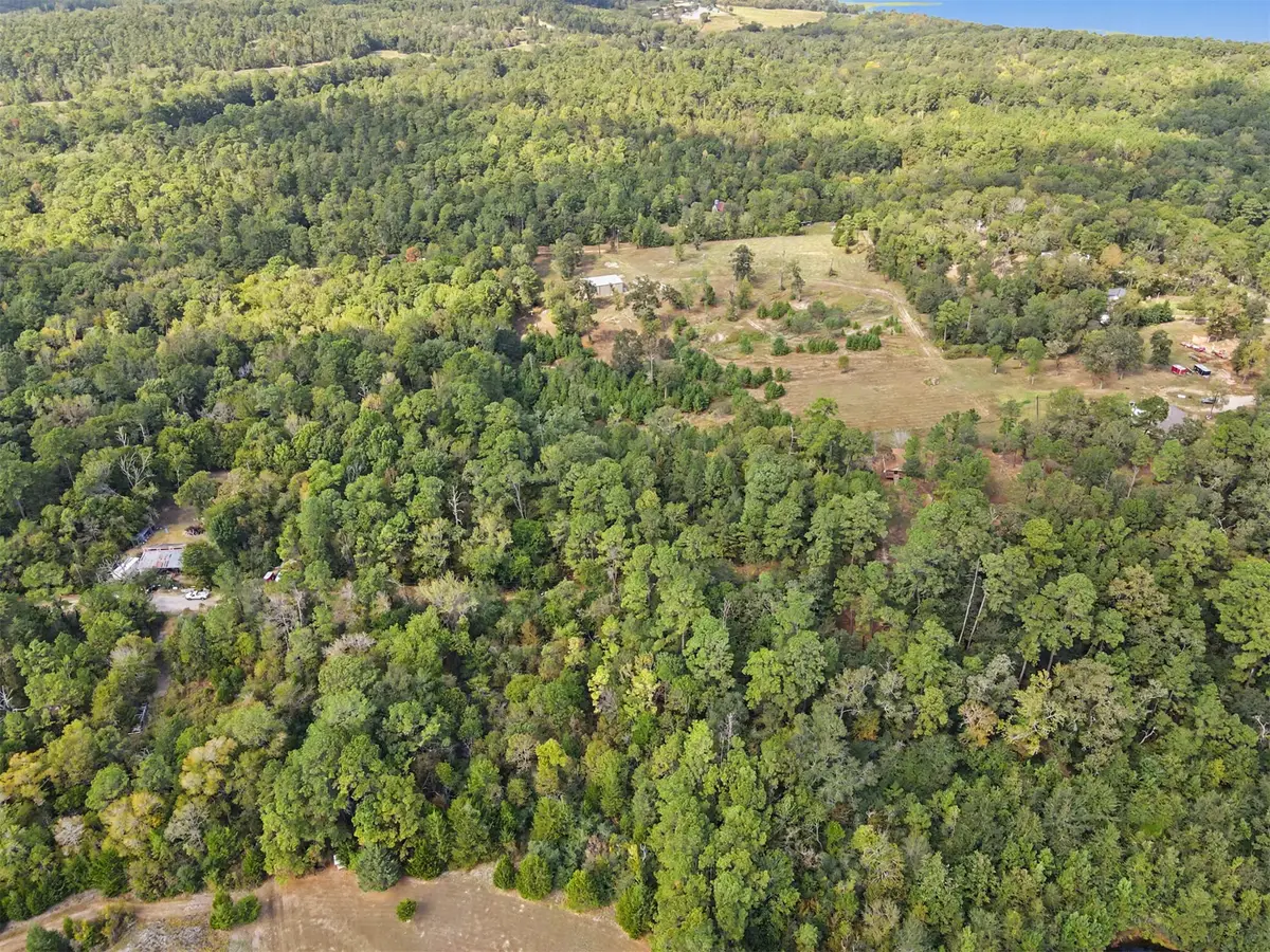 TBD The Woods Rd Lot 47 Road, Coldspring, TX 77331 - #1