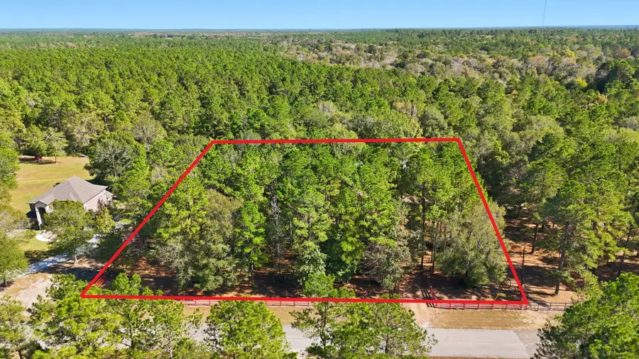 2020 White Buck Court, Cleveland, TX 77328 - Image #2