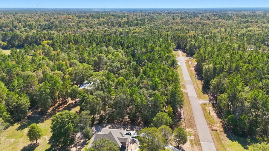 2020 White Buck Court, Cleveland, TX 77328 - Image #3