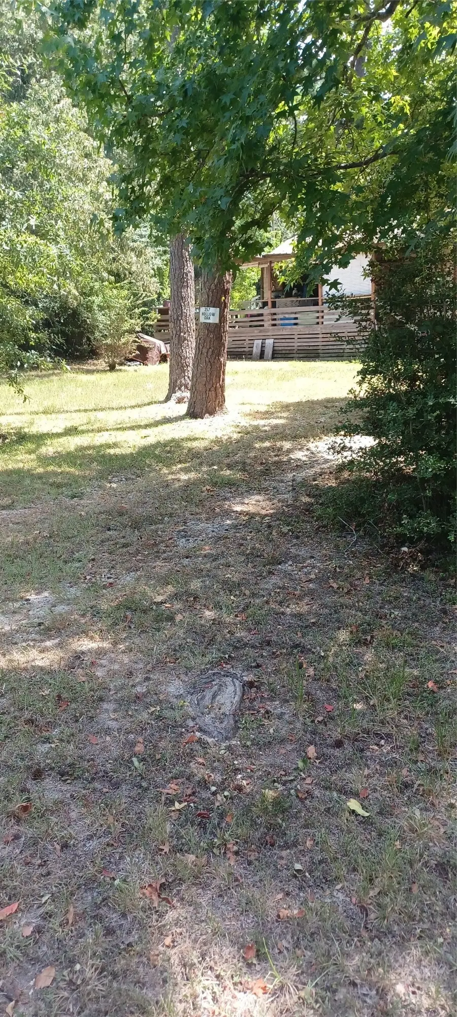 257 Hollow Oak, Livingston, TX 77351 - #3