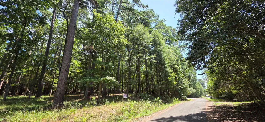 TBD Forest Hills Dr, Livingston, TX 77351 - #2