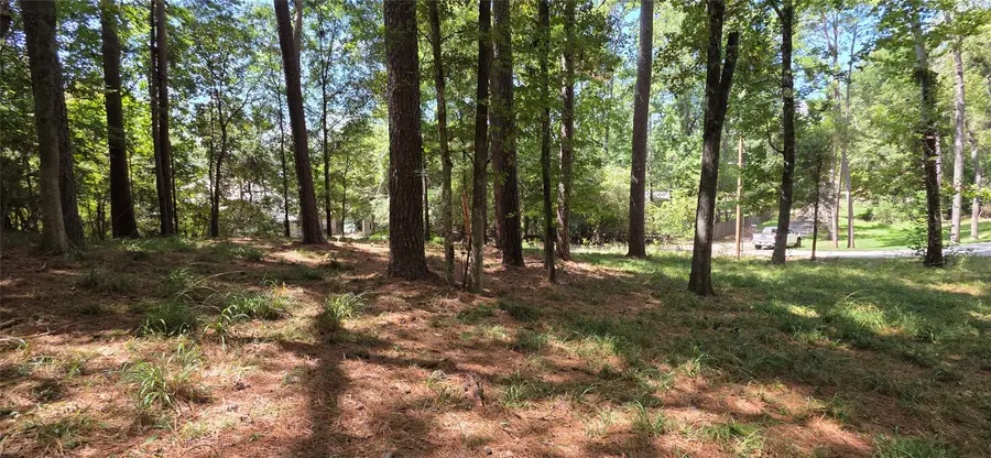 TBD Forest Hills Dr, Livingston, TX 77351 - #3
