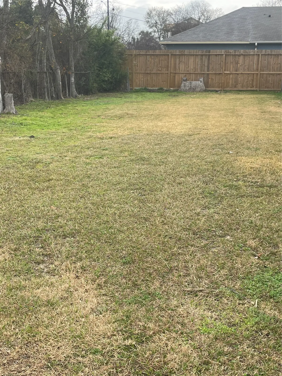 4205 Gunter Street, Houston, TX 77020 - #1