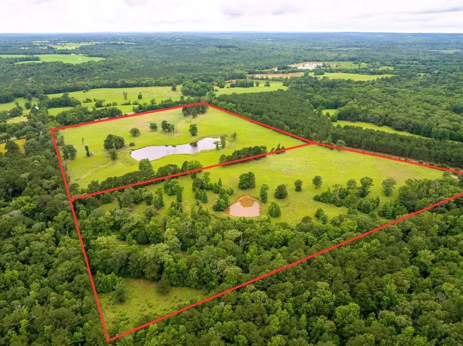 2 County Road 1224, Elkhart, TX 75839 - #2