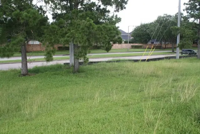 2920 W Walker Street, League City, TX 77573 - #2