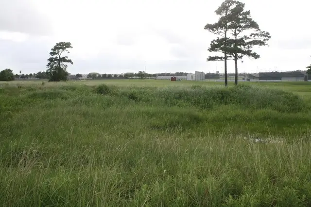 2920 W Walker Street, League City, TX 77573 - #3