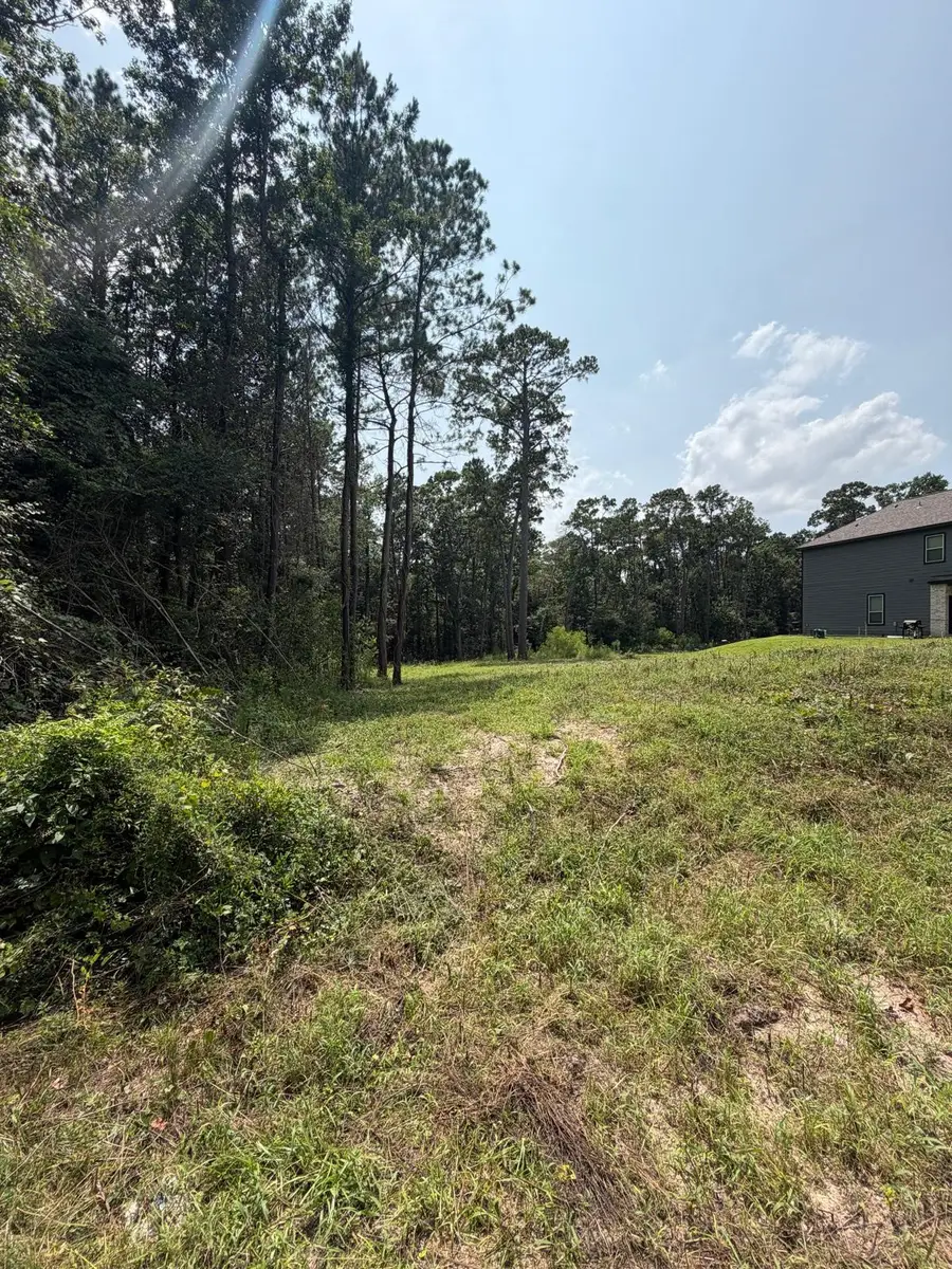 00 Magnolia Bend Drive, Conroe, TX 77302 - #2